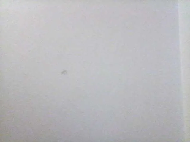 Live sex webcam photo for Mercedes1989 #276783314