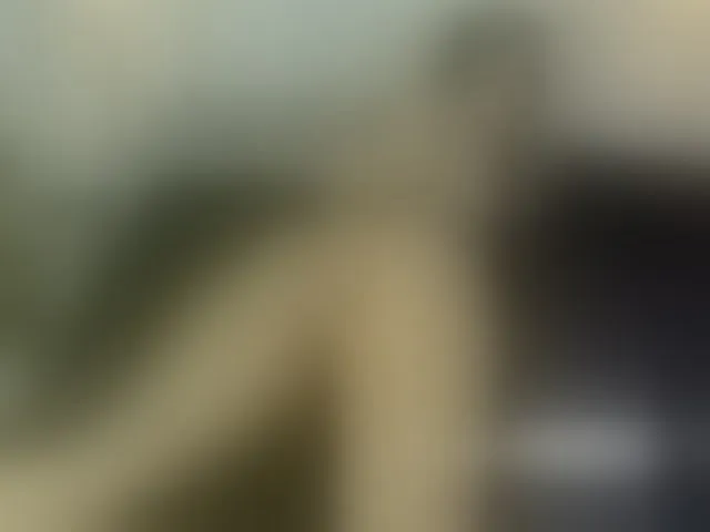 Live sex webcam photo for Merida- #272250521