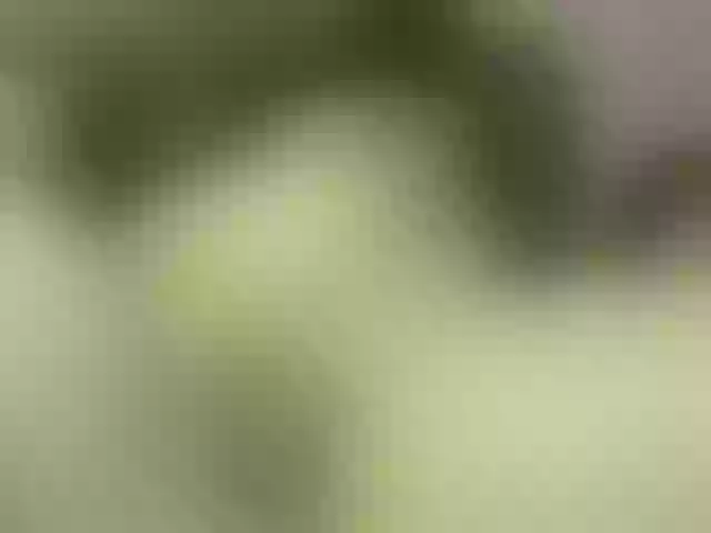 Live sex webcam photo for MiMi2K #291546651
