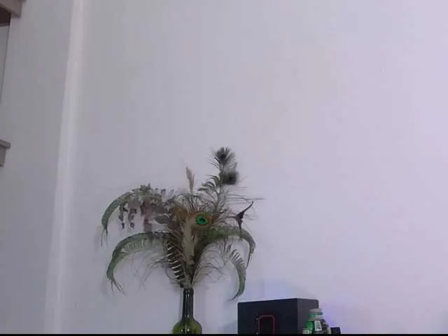 Live sex webcam photo for Mia-4u #275547677