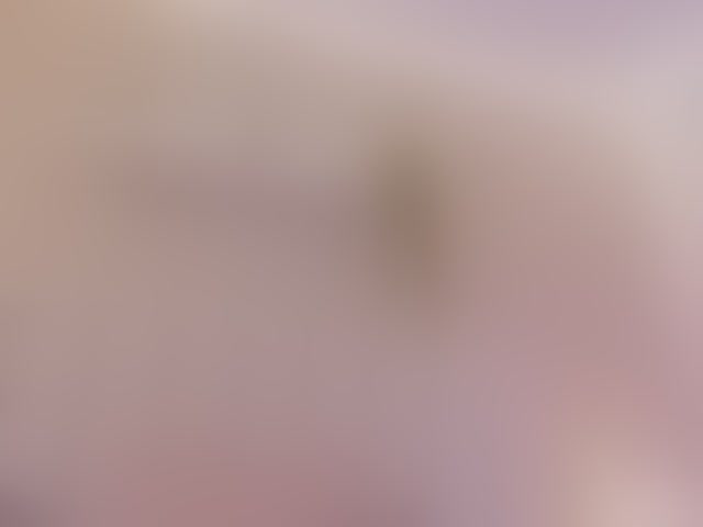 Live sex webcam photo for Mia-Thompson-1 #294108772