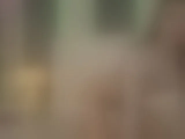 Live sex webcam photo for MiaAddison #293450535