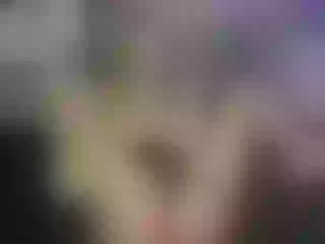 Live sex webcam photo for MiaBeeX #291393708