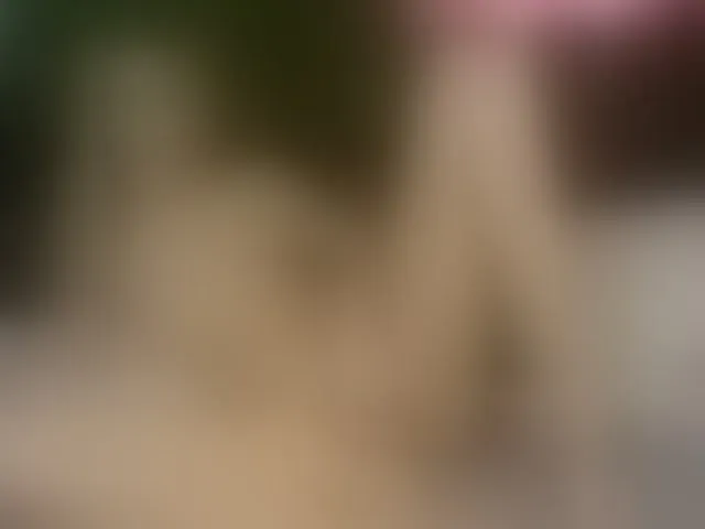 Live sex webcam photo for MiaBeeX #292487999
