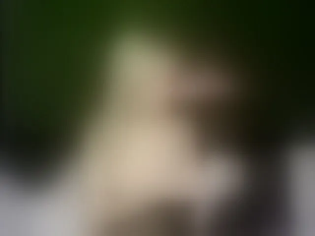 Live sex webcam photo for MiaBeeX #293624421