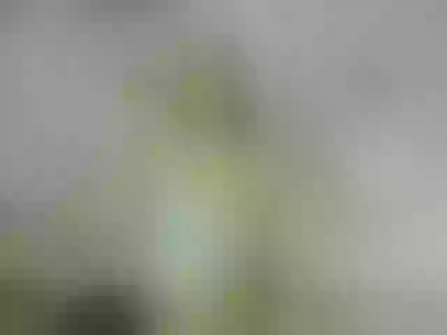 Live sex webcam photo for MiaCassel #292135346