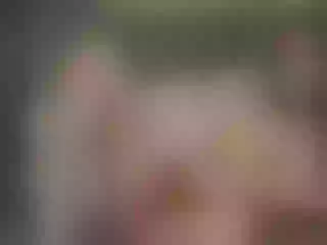 Live sex webcam photo for MiaDominguez #277678378