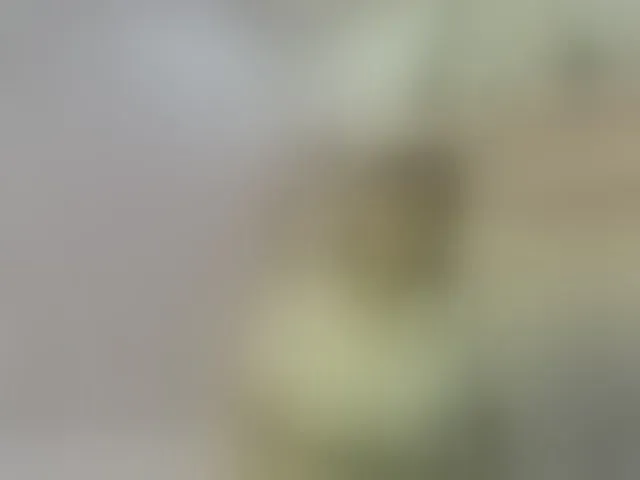 Live sex webcam photo for MiaRivers #292388447