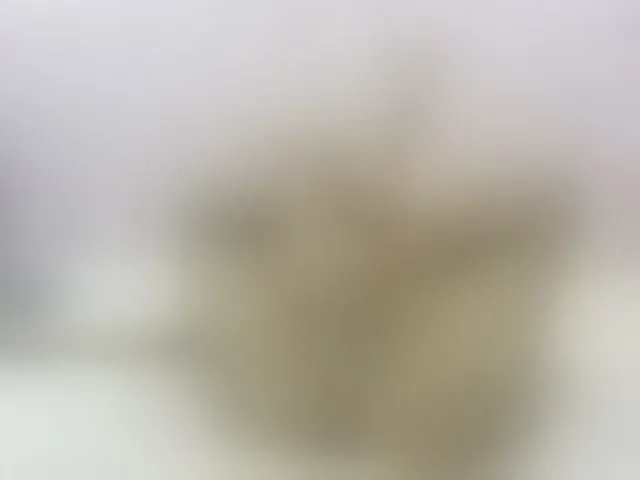 Live sex webcam photo for MiaRivers #292573451
