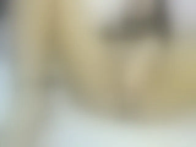 Live sex webcam photo for MiaRivers #292816652