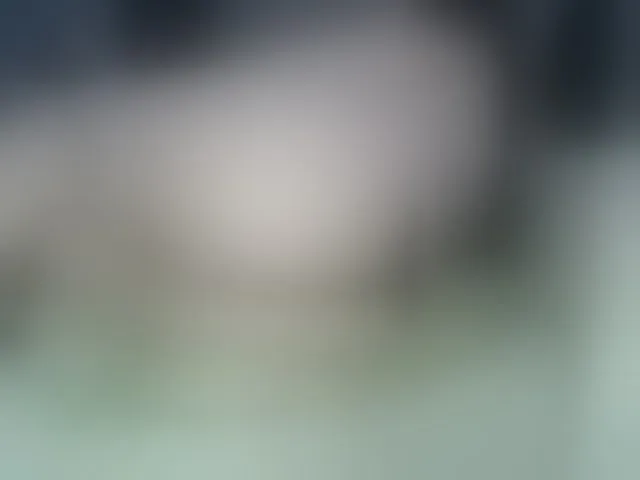 Live sex webcam photo for MiaSecret #294072178