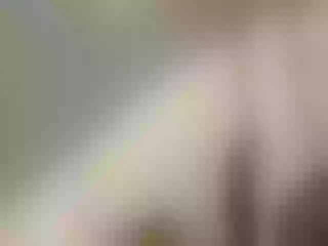 Live sex webcam photo for MiaTorres #291908588
