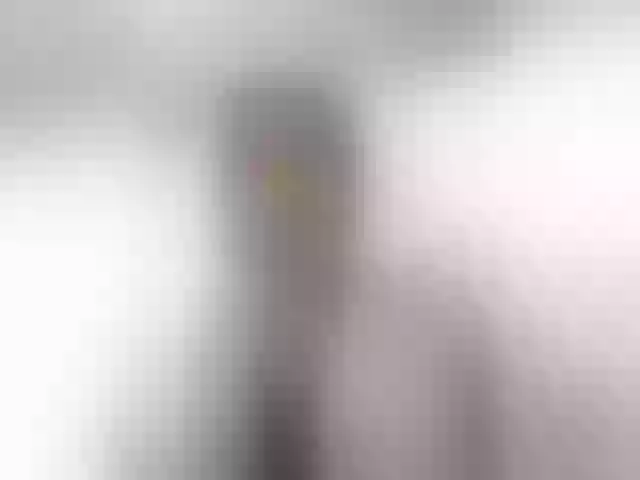 Live sex webcam photo for MiaTorres #292065893