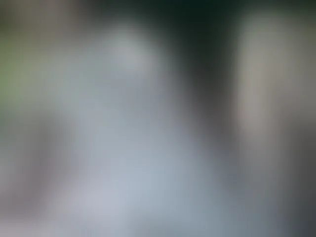 Live sex webcam photo for MiaVebes #293111338
