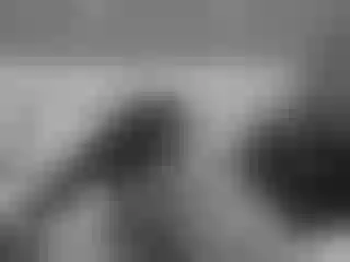 Live sex webcam photo for MiaWon #159343075