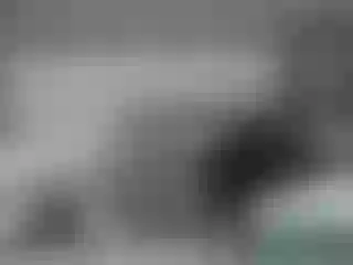 Live sex webcam photo for MiaWon #180237960