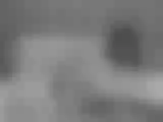 Live sex webcam photo for MiaWon #193931726