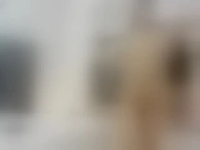 Live sex webcam photo for Miaatorres #293608293