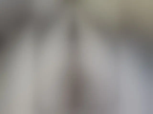 Live sex webcam photo for MiamiMur #293573371