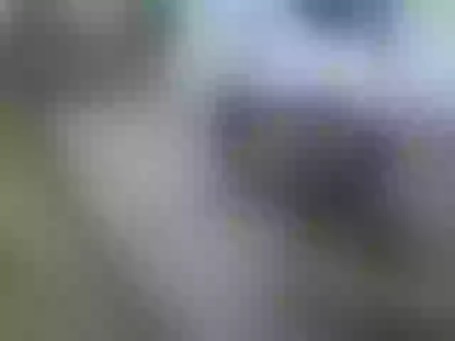 Live sex webcam photo for Miarizou #291876922