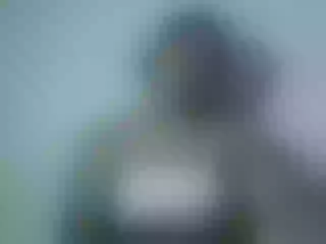 Live sex webcam photo for Miarizou #292220508