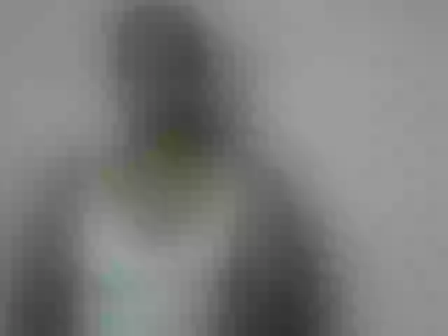 Live sex webcam photo for Miarizou #292233701