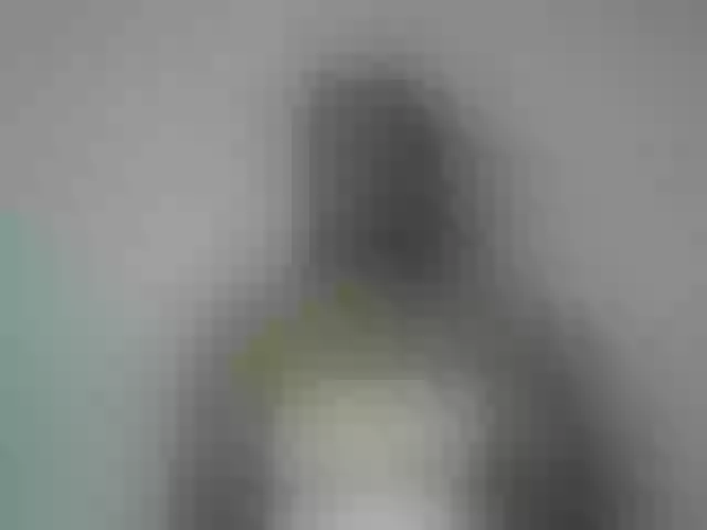 Live sex webcam photo for Miarizou #292273580