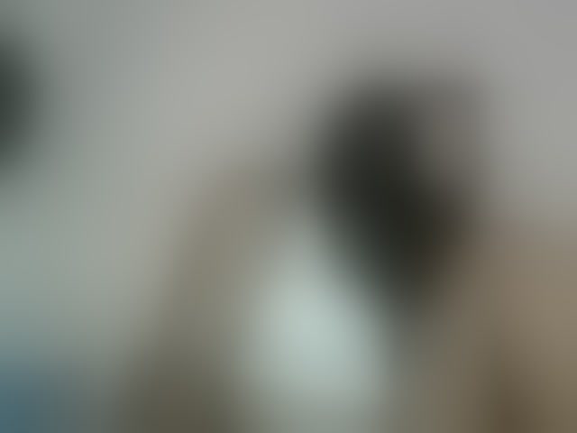 Live sex webcam photo for Miarizou #292459867