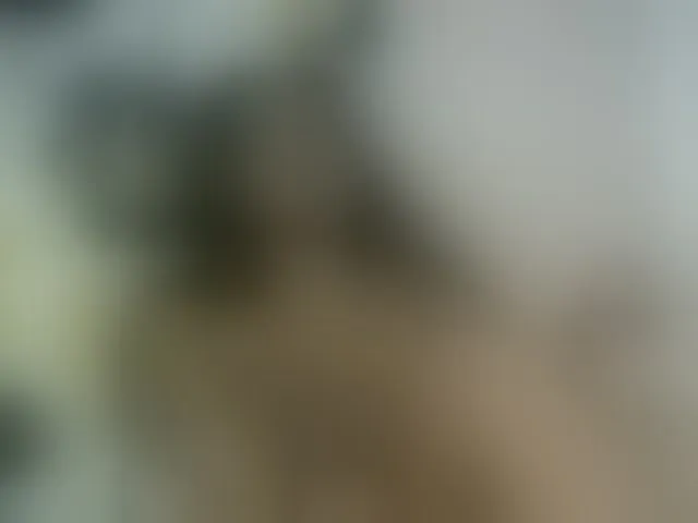 Live sex webcam photo for Miarizou #293367073