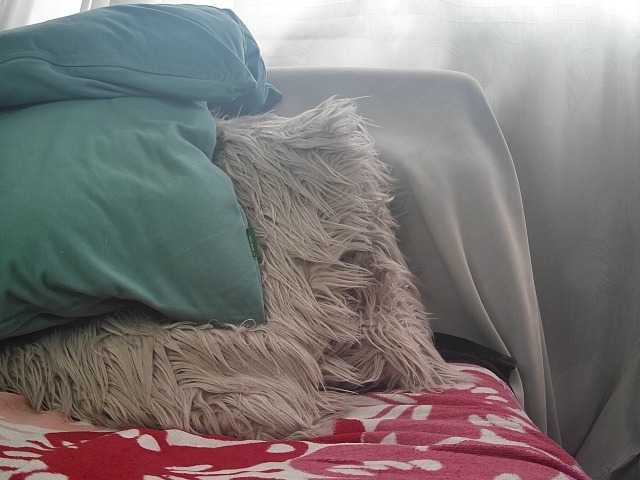 Live sex webcam photo for Michaelhotbbc #289467915