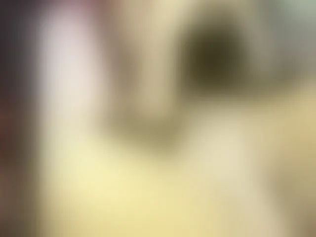 Live sex webcam photo for MichelleDoll22 #290276965