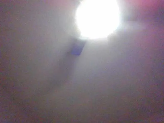 Live sex webcam photo for Micromark #290715416