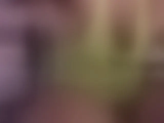 Live sex webcam photo for Miike-mr #293589050
