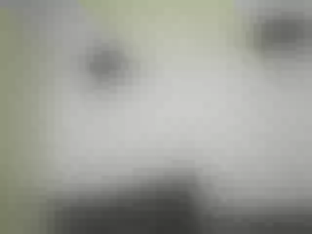 Live sex webcam photo for MilaBi-192569 #292121186