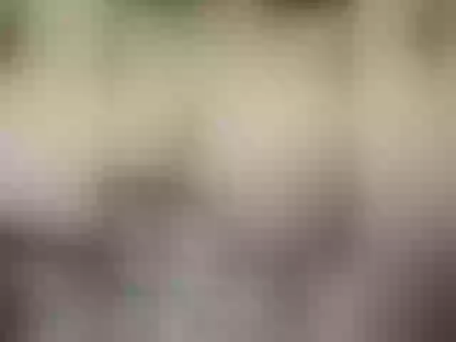 Live sex webcam photo for MilaLii #273516258