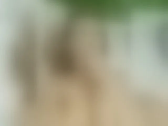 Live sex webcam photo for MilaSavory #275707277