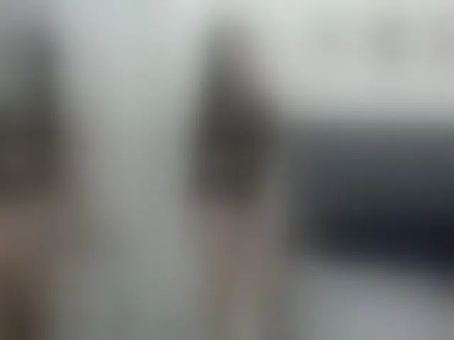 Live sex webcam photo for MilaWinslet #292444454