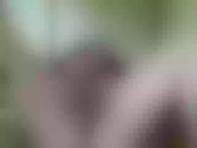 Live sex webcam photo for MilashkaSalma #273228763
