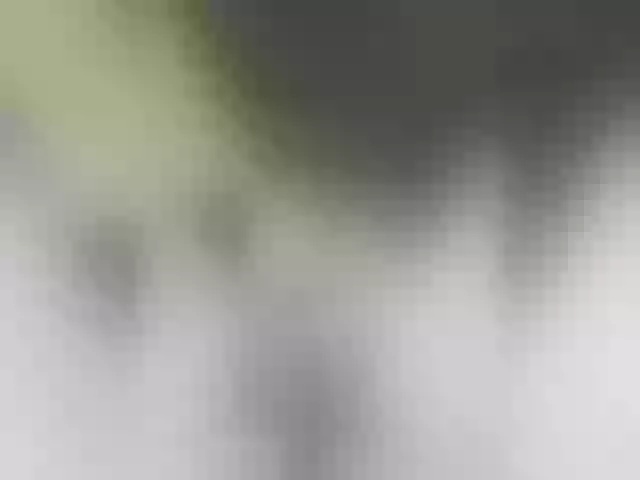 Live sex webcam photo for MilashkaSalma #290520696