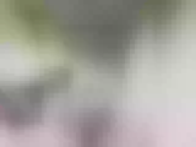 Live sex webcam photo for MilashkaSalma #290653394