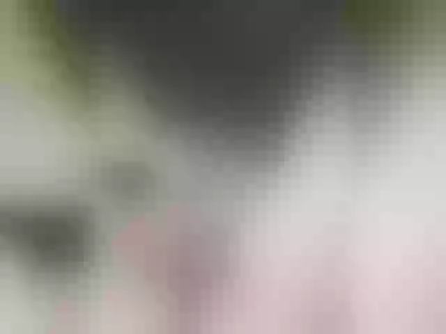 Live sex webcam photo for MilashkaSalma #290676232