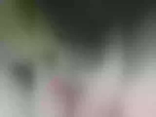 Live sex webcam photo for MilashkaSalma #290763577