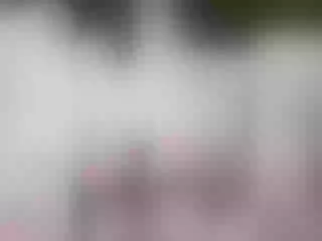 Live sex webcam photo for MilashkaSalma #290765272