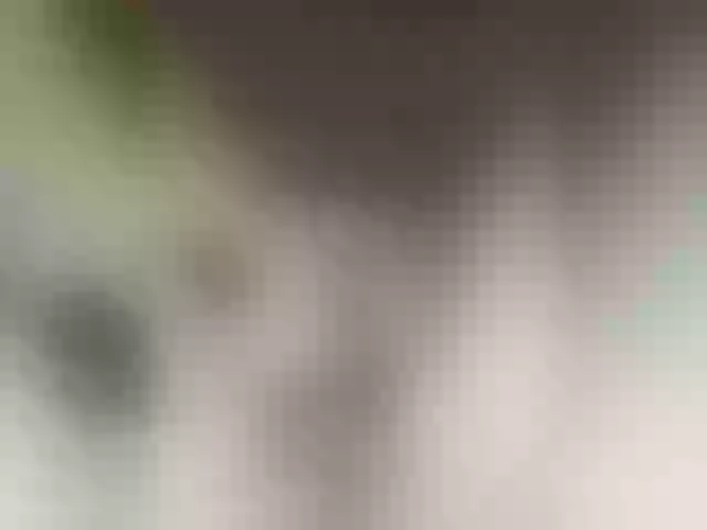 Live sex webcam photo for MilashkaSalma #290852896