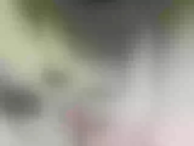 Live sex webcam photo for MilashkaSalma #290937133
