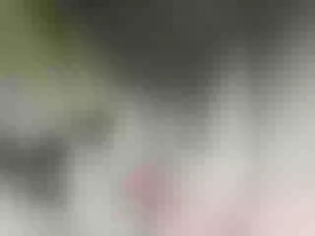 Live sex webcam photo for MilashkaSalma #291284337