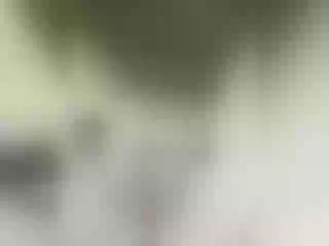 Live sex webcam photo for MilashkaSalma #291325499