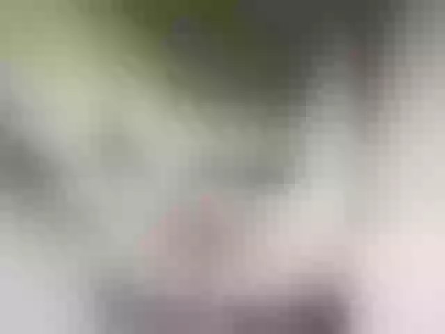 Live sex webcam photo for MilashkaSalma #291346706