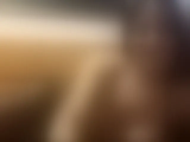 Live sex webcam photo for MilfAdell #293162193