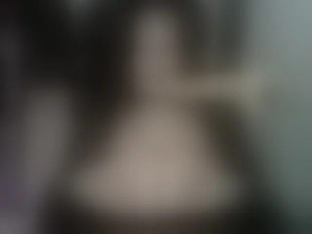 Live sex webcam photo for MilfBigTitsa #293543076